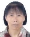 黄细桔照片